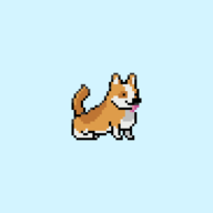 »Corgi Run V1.2022.07.01a ׿