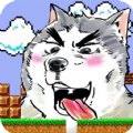 ɭðӵV100.0.0 ׿