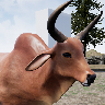 ϬţģHappy Rhino Simulator V1.2 ׿