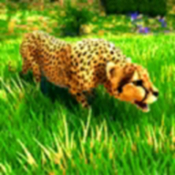 CͥģMCheetah Family Simulator Game V1.5 ׿