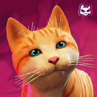 ؈ģMStray Game Simulator Cat V0.3 ׿