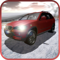 ѩ\(bio)ِSnow Rally Champion V1.0 ׿