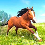 ̓MRͥģMVirtual Horse Family Simulator V1.3 ׿