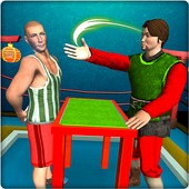 3DĴV1.3 ׿