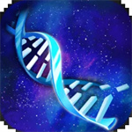 Դ¼İV1.0.33 ׿