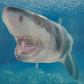 Shark V1.1.0 ׿