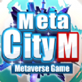 metacity mԪ V1.0 ׿