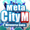 metacity mԪV1.0 ׿