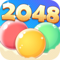 2048 V1.1.1 ׿