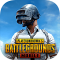 pubg  2.4.0