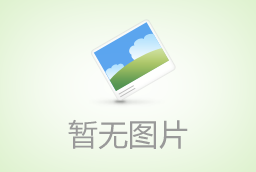 ñ()v1.0ɫѰ