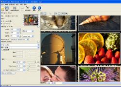 PhotoZoom(ŴͼƬ) V5.0.4 ƽɫ