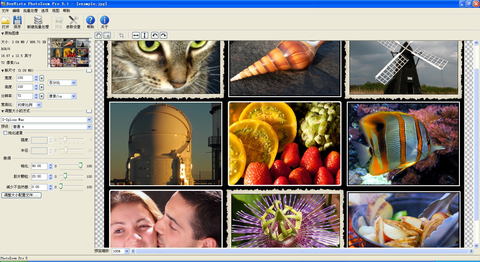 BenVista PhotoZoom ProV5.1.0 ɫЯ