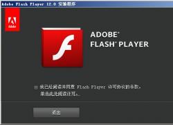 Adobe Flash Player 13(flash)V13.0.0.199 ʽ