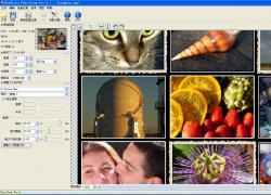 BenVista PhotoZoom ProV5.1.0 ɫЯ