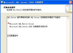 sql server 2005 2005