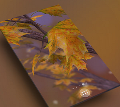 ֽ̬(Autumn Tree)V1.5 ׿