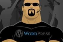 WordPress黑帽SEO插件的技术剖析