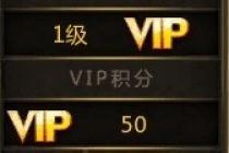 300Ӣvipʲô