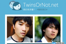 TwinsOrNot⼯