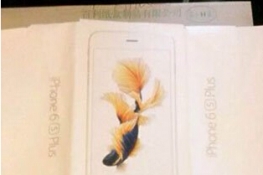 ƻiPhone6s Plusװع⣺ޱ