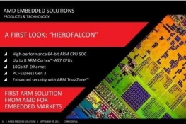 AMD׿64λARMܹcpuع⣺Hierofalcon