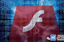 FlashжΣգڿ͹ǰ10©Flashռ8