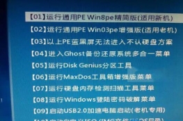 windows7ϵͳµwinsxsʲô