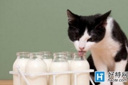牛奶千万别搭错 免惹健康威胁