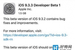 ios9.3.3(j)DĽ̳