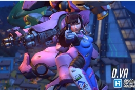 ߶̸°汾D.VA Ӣ۷ԼӦ