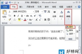 word2010вҺQ~DĽ̳