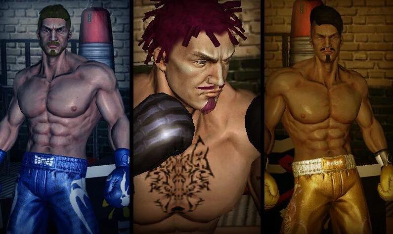 ȭ֮Punch Boxing 3DV1.1.0 ׿