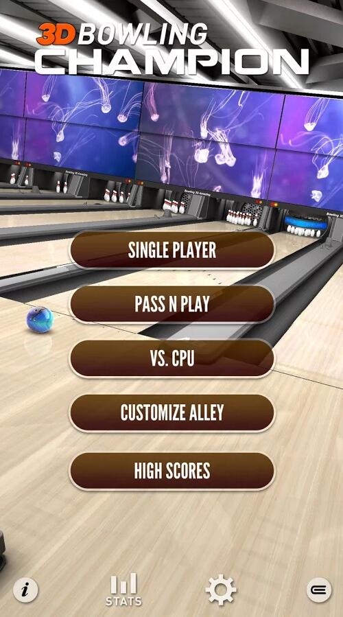 3Dھ3D Bowling Champion PlusV1.5 ׿