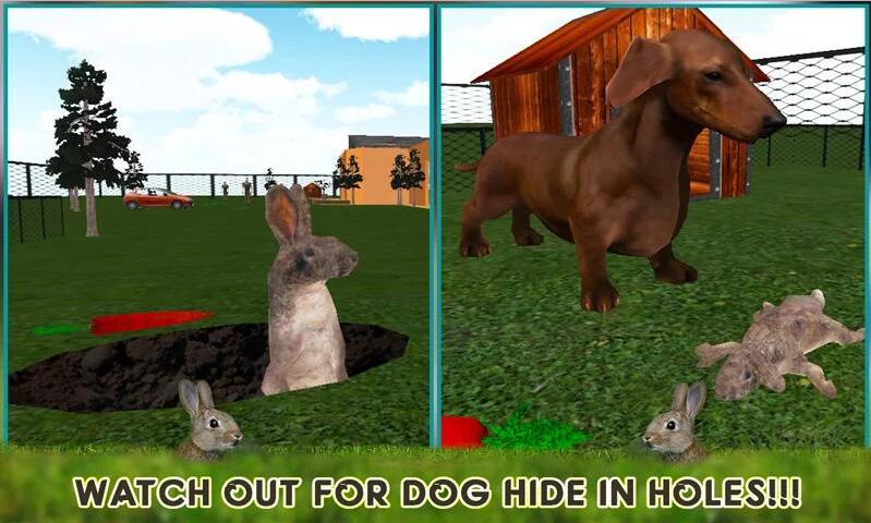 VS˹3DPet Rabbit Vs Stray Dog 3DV1.0.3 ׿