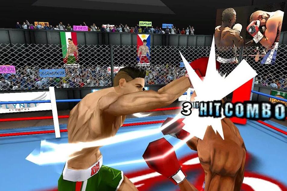 3DȭսFists For Fighting (Fx3)V1.984 ׿