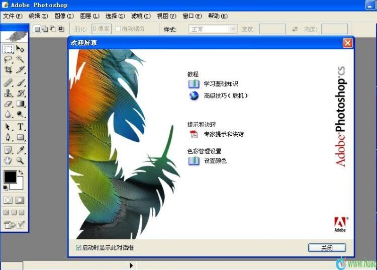 photoshop8.0ƽV8.0 ٷ