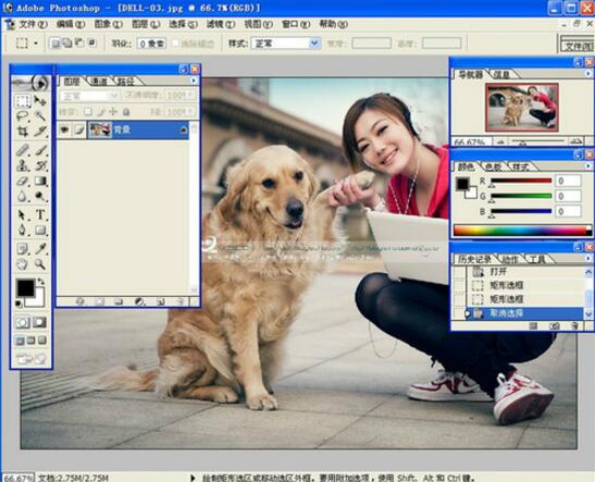 photoshop8.0İV8.0 İ