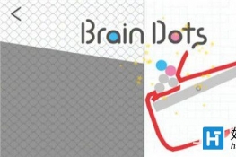 ԵBrain Dots263ͨع