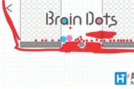 ԵBrain Dots250ͨع