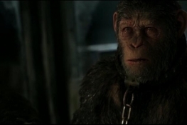 《猩球崛起3》最戳心片段 凯撒丧子之痛