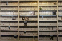 国外玩家晒PS2游戏收藏 1500张摆满8层书架