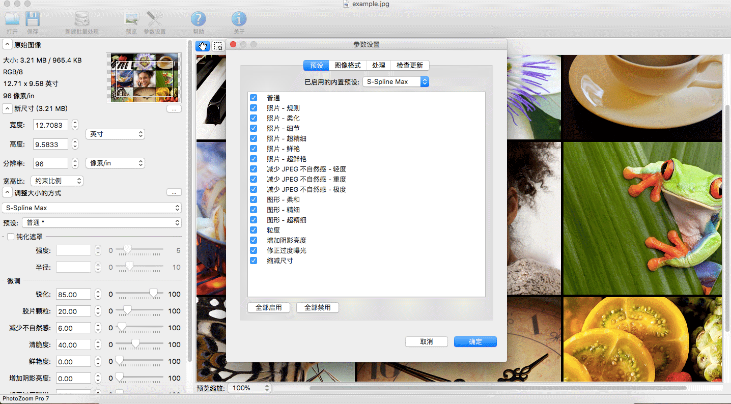 PhotoZoom ClassicV7.1.0 MAC