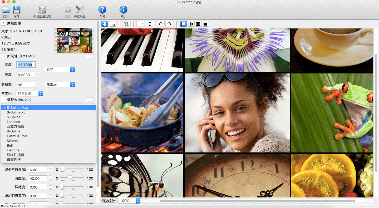 PhotoZoom ClassicV7.1.0 MAC