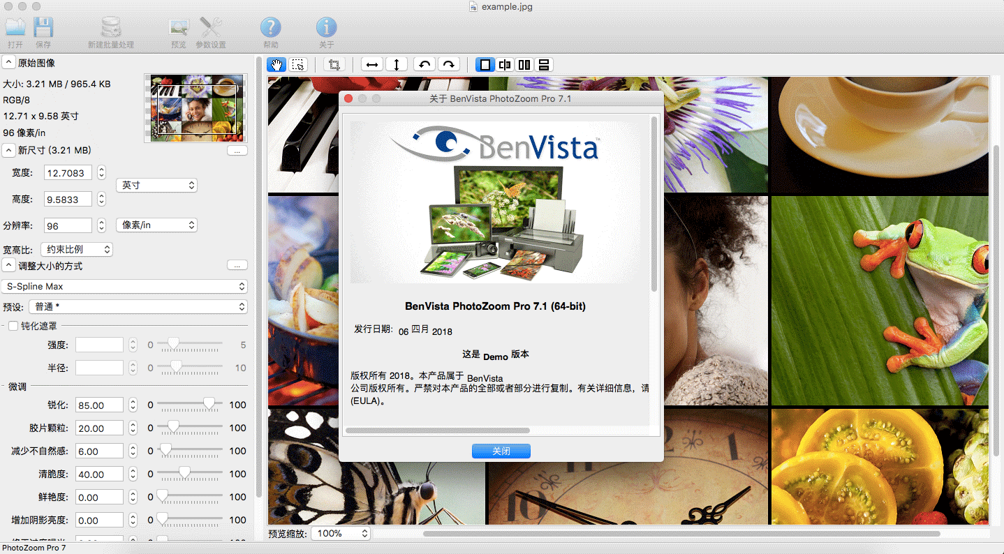 PhotoZoom Classic WinV7.1.0 ԰