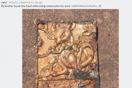 网友挖出超梦金卡化石 埋藏19年堪称文物
