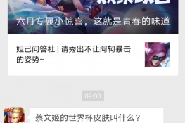 蔡文姬的世界杯皮肤叫什么？