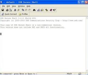 sshV3.2.9 ԰