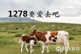 1278ʲô˼ʲô 1278ʲô˼