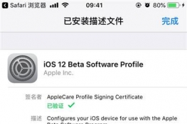 ios12.1beta3ʲô